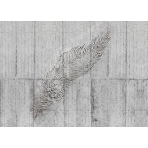 Concrete Feather Wall Mural