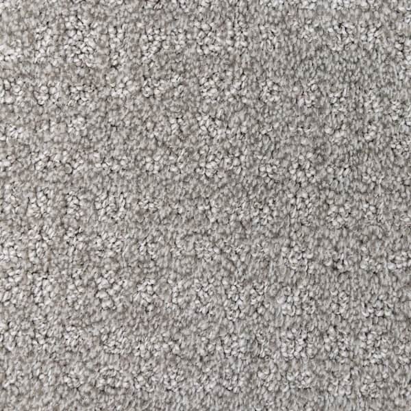 TrafficMaster 8 in. x  8 in. Pattern Carpet Sample - Wandering Scout -Color Longbow