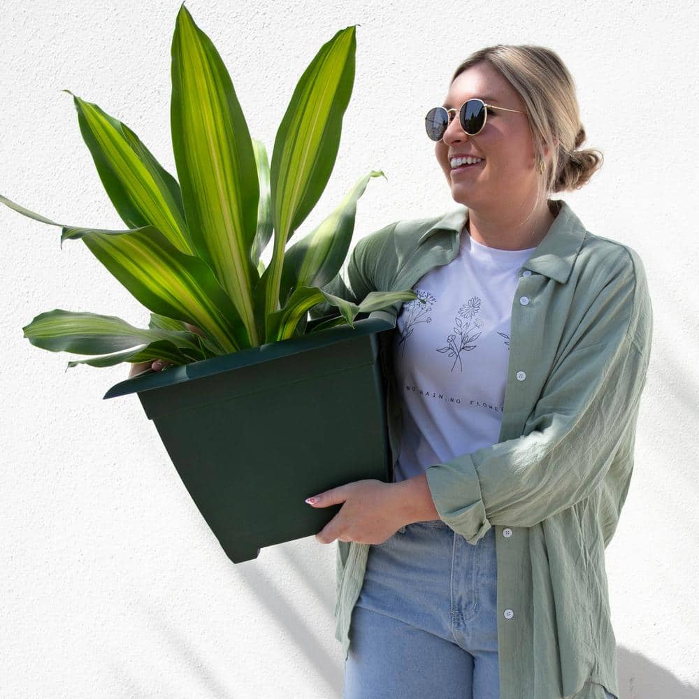 Eco-Friendly Turtle Green 15" Square Self-Watering Planter Box