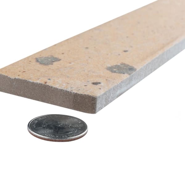 まるまるまる MSA ALTAIR 4XR Multigas Detector Phosphorescent [LEL, O2, Co, H2S