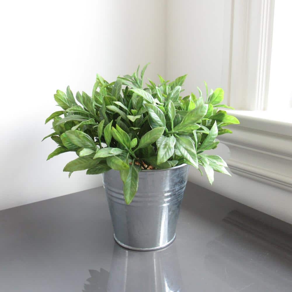 8 in. Artificial Sage Basil Herb Plant in Metal Pot price history on PriceWatchPro