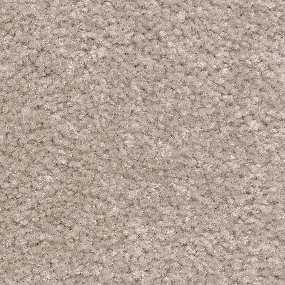 8 in. x 8 in. Texture Carpet Sample - Mason I -Color Mineral price history on PriceWatchPro