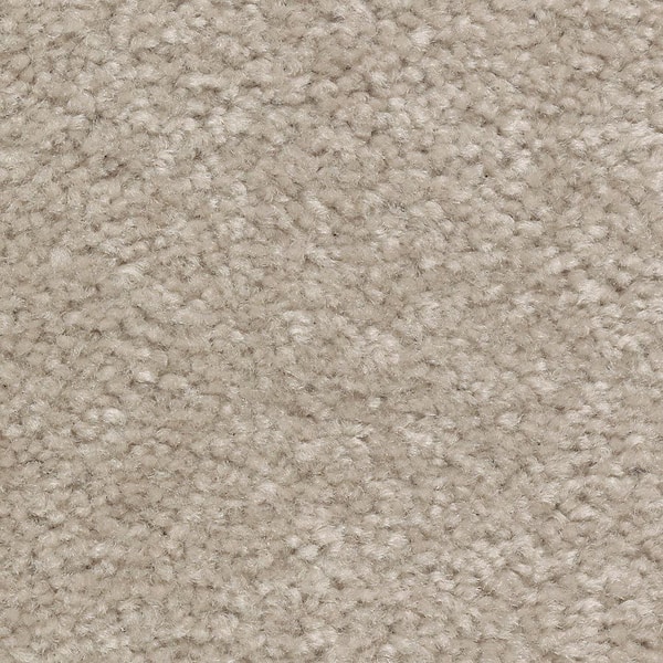 Lifeproof 8 in. x 8 in. Texture Carpet Sample - Mason II -Color Mineral