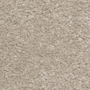Mason II  - Mineral - Brown 54 oz. Triexta Texture Installed Carpet