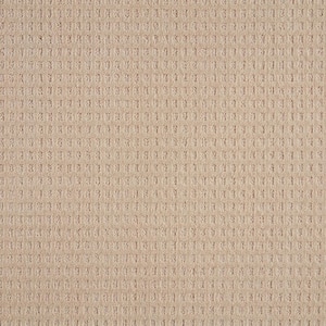 Canter  - Gypsy Moth - Beige 38 oz. Triexta Pattern Installed Carpet