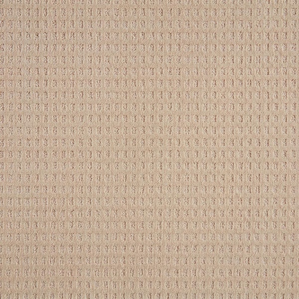 Canter  - Gypsy Moth - Beige 38 oz. Triexta Pattern Installed Carpet