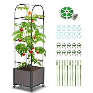 Raised Garden Bed Planter Box with Wheels, 61''H Black Cage with Trellis, Metal Arch Form Indoor/Outdoor, 1 pack