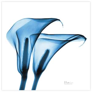 "Indigo Calla Lililes " Unframed Free Floating Tempered Glass Panel Graphic Wall Art Print 24 in. x 24 in.