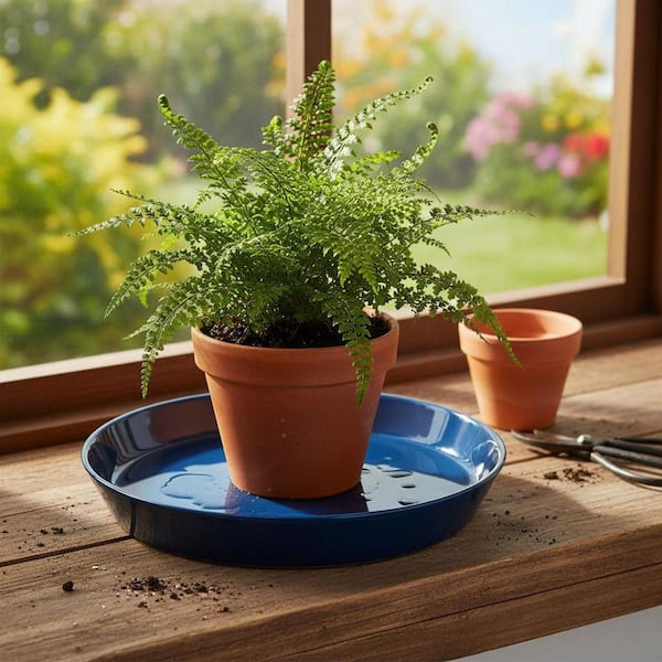 2 Pack 8 Inch Ceramic Plant Saucer YNLIN379 - The Home Depot