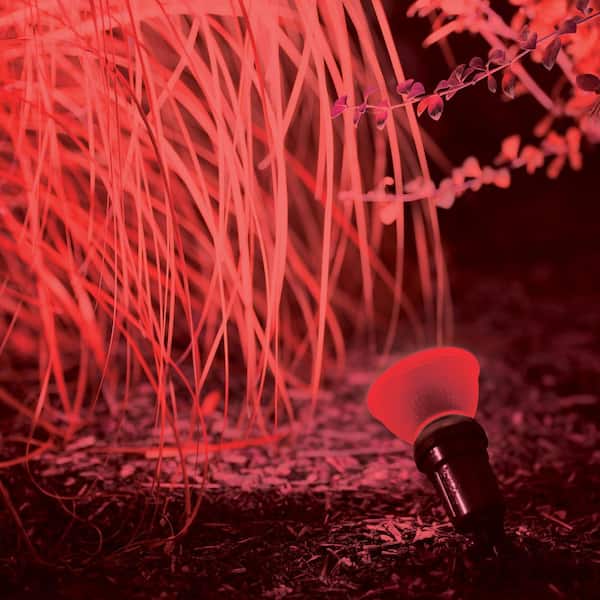 Philips 90-Watt Equivalent PAR 38 LED Flood in Red (1-Pack) 568295