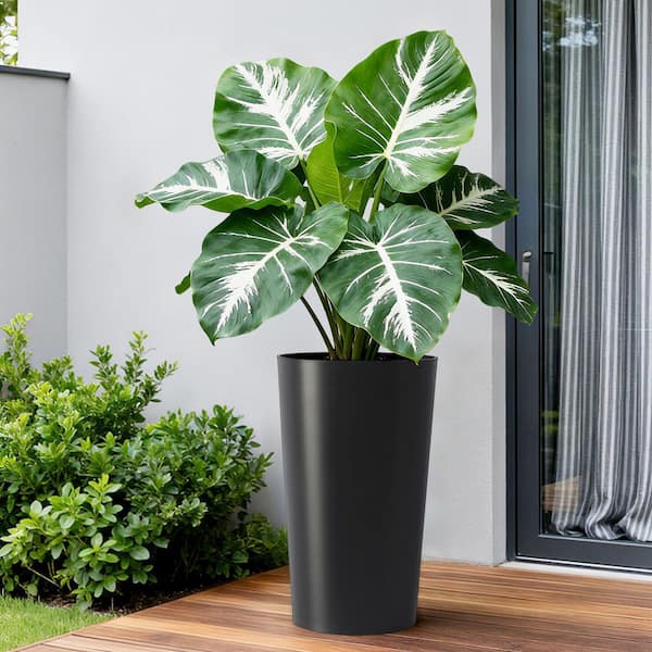 VAMOP Black Plastic Square Planter Box with Matte Finish (12.9 in