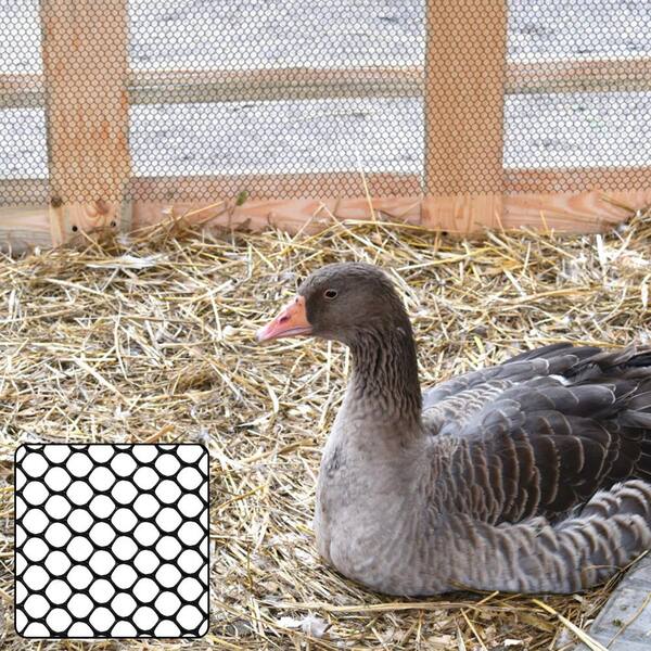 Angel Sar 16 in. x 10 ft. Plastic Chicken Wire Fence Mesh, Hexagonal Poultry Net Garden Netting for Chicken Coops Farm