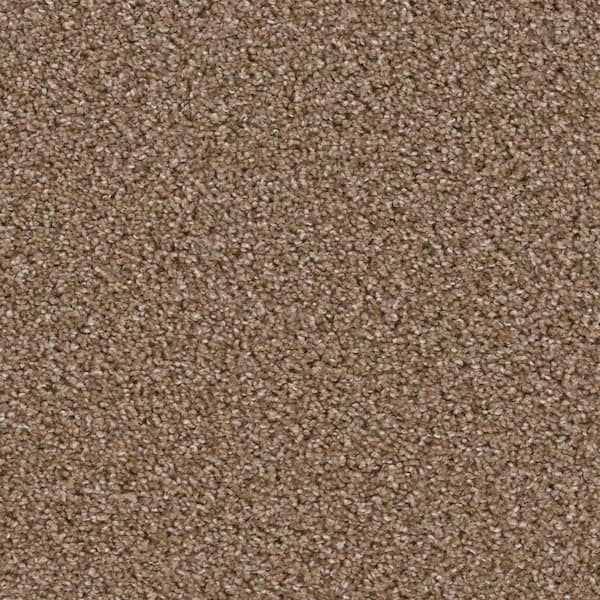 TrafficMaster 8 in. x 8 in. Texture Carpet Sample - Added Value -Color Engage