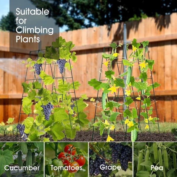 40.15 in. Metal A-Frame Green Garden Trellis for Climbing Plants, Cucumber and Tomato Support (2-Pack)