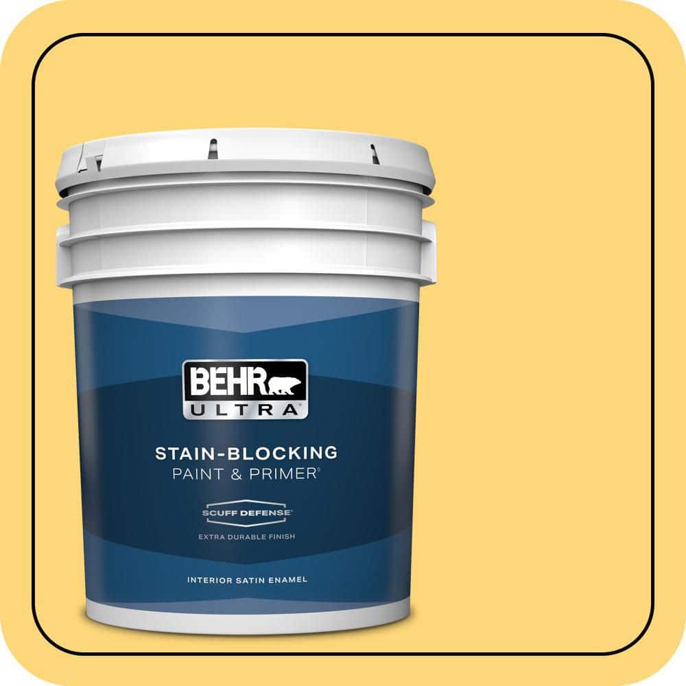 5 gal. Home Decorators Collection #HDC-SM16-05 Deviled Egg Extra Durable Satin Enamel Interior Paint & Primer price history on PriceWatchPro