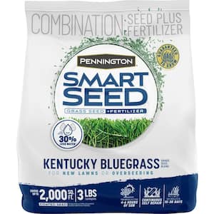Smart Seed Kentucky Bluegrass 3 lb. 2,000 sq. ft. Grass Seed Blend