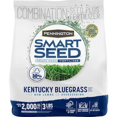 Smart Seed 3 lbs. Kentucky Bluegrass Grass Seed Blend