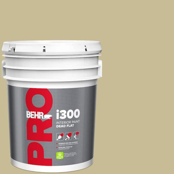 BEHR PRO 5 gal. #PPU8-09 Tea Bag Flat Exterior Paint PR61305 - The Home  Depot