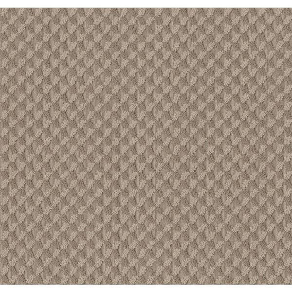 Shaw Exquisite - Boardwalk - Brown 39.3 oz. Nylon Pattern Installed Carpet