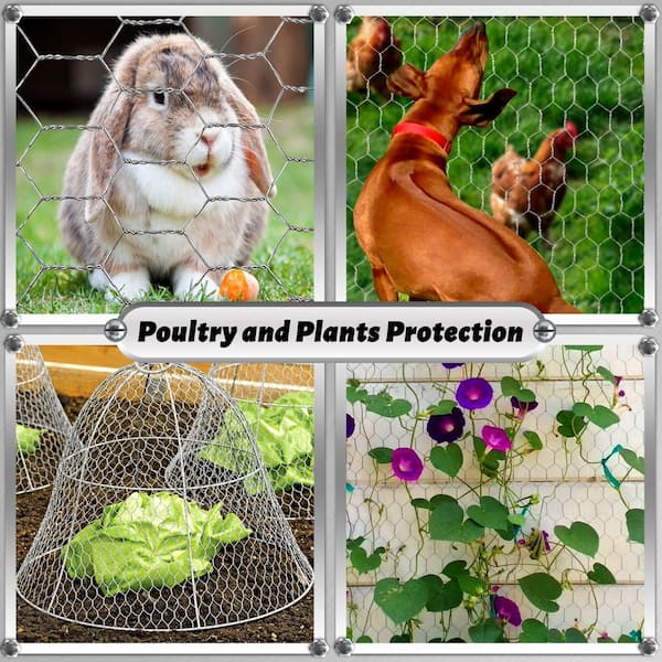 Angel Sar 16.9 in. x 40 ft. Chicken Wire Fencing Mesh, 0.6 in. Hexagonal Galvanized Hardware Cloth for Coop Barrier Rabbit Cage