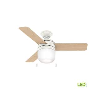 Acumen 42 in. LED Indoor Fresh White Ceiling Fan with Light Kit