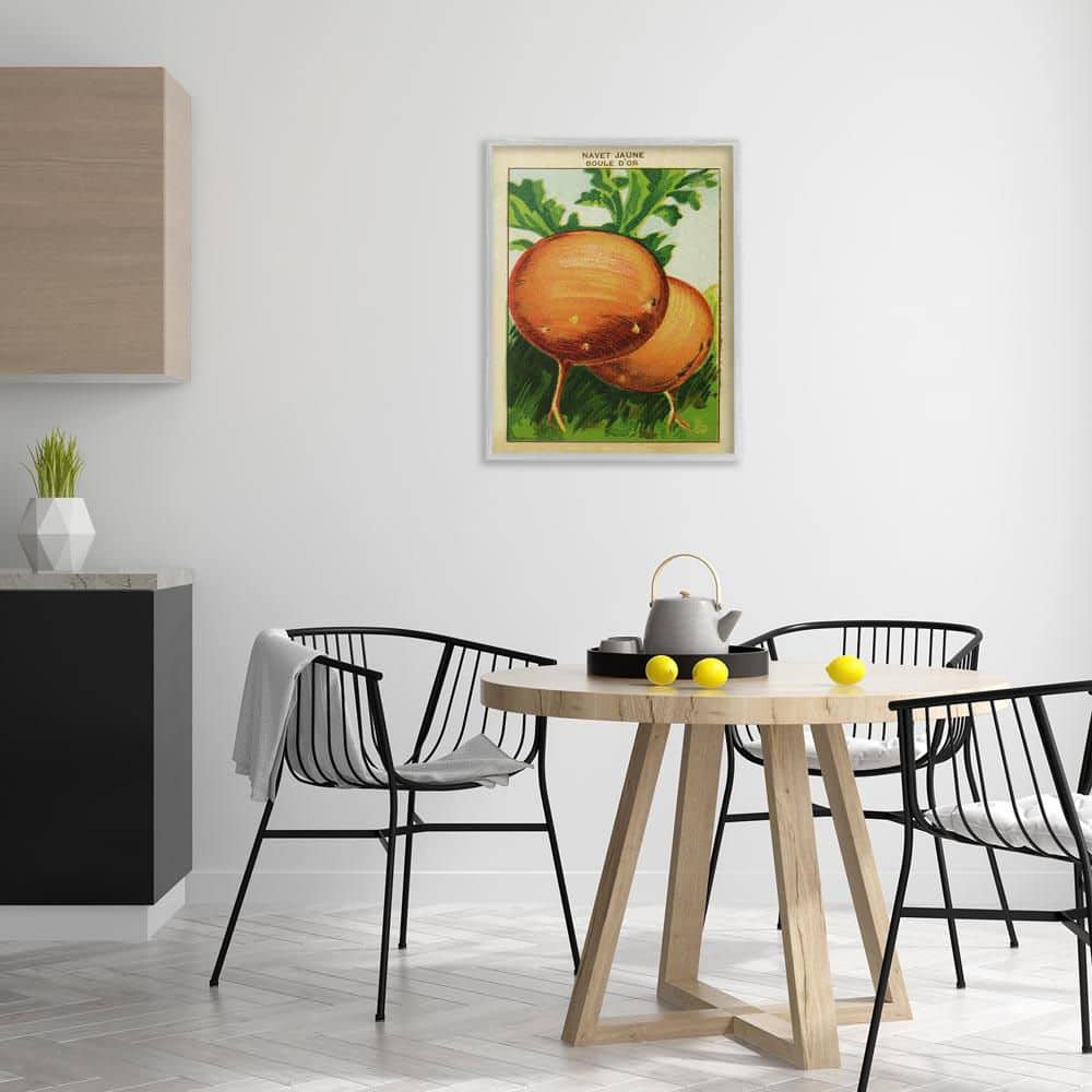 Country Vintage Onions by Lil' Rue Gray Framed Food Giclee Art Print 30 in. x 24 in. price history on PriceWatchPro