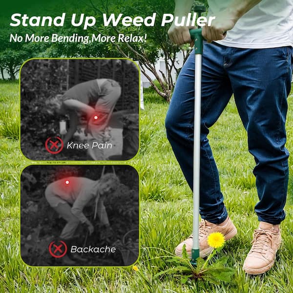 JUNWELL Stand-Up Weed Remover, Stainless Steel Claws, Long Handled Root