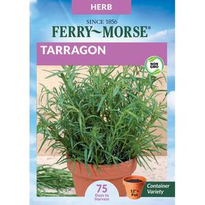 Tarragon Herb Seed