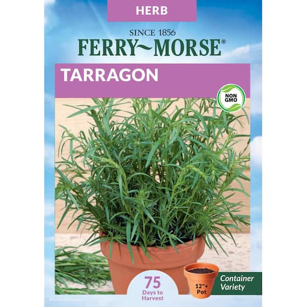 Tarragon Herb Seeds