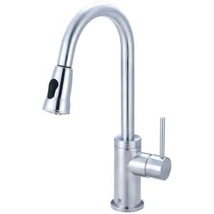 Motegi Single-Handle Pull-Down Sprayer Kitchen Faucet in Stainless Steel
