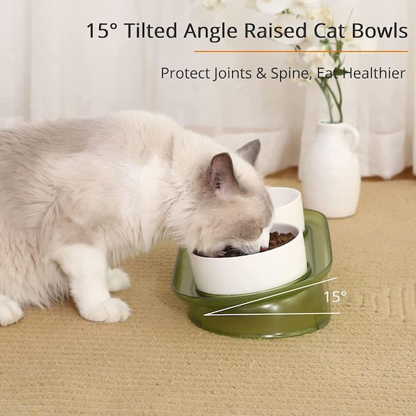 Should You Buy An Elevated Cat Bowl?