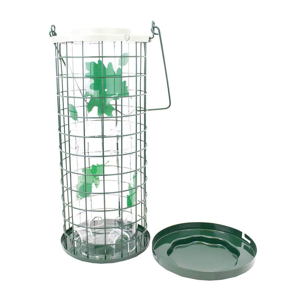 Green Metal and Plastic Squirrel Resistant Hanging Bird Feeder
