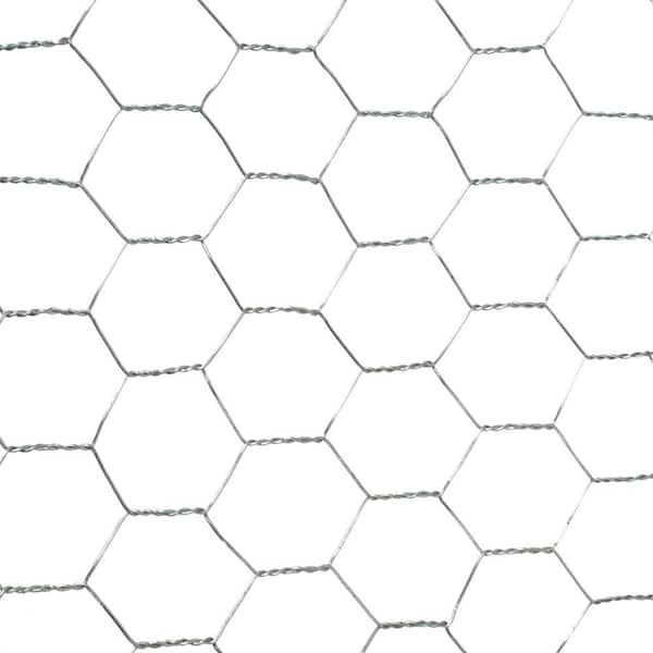 Everbilt - 1 in. Mesh x 2 ft. x 10 ft. 20-Gauge Galvanized Steel Poultry Netting