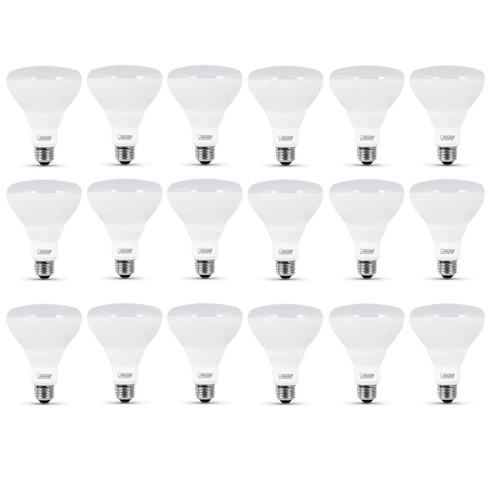 65-Watt Equivalent BR30 Dimmable CEC ENERGY STAR Enhance 90+ CRI E26 Flood LED Light Bulb, Daylight 5000K (18-Pack) -  Feit Electric, BR30DM950CA3/6