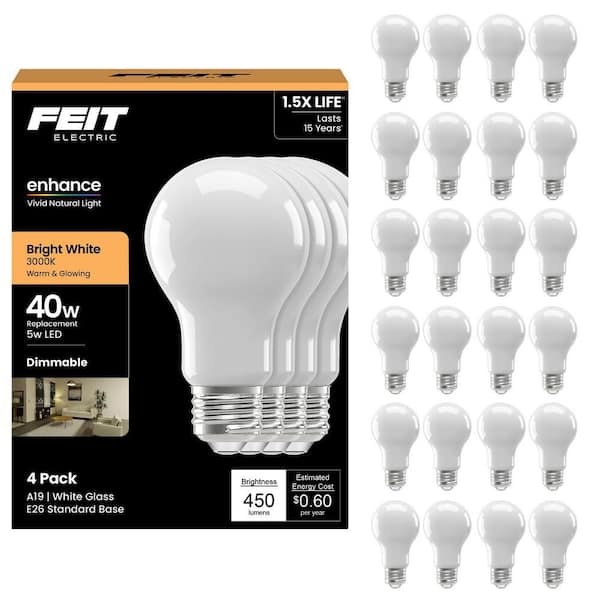 Feit Electric 40-Watt Equivalent A19 Dimmable Filament LED Light Bulb