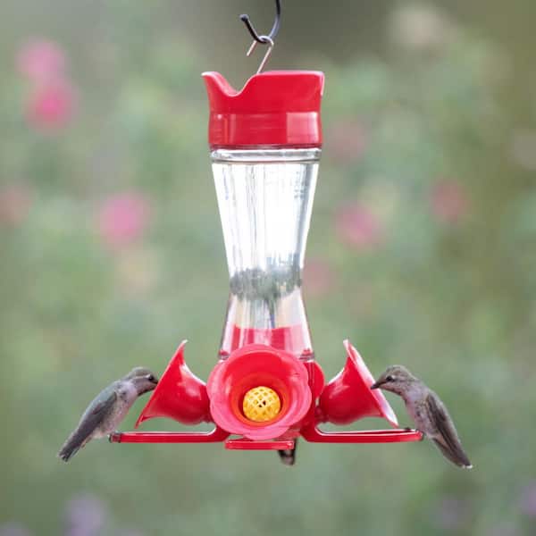 Perky-Pet 8 oz Pinch Waist Glass Hummingbird Feeder Holds up To 9 oz Nectar 