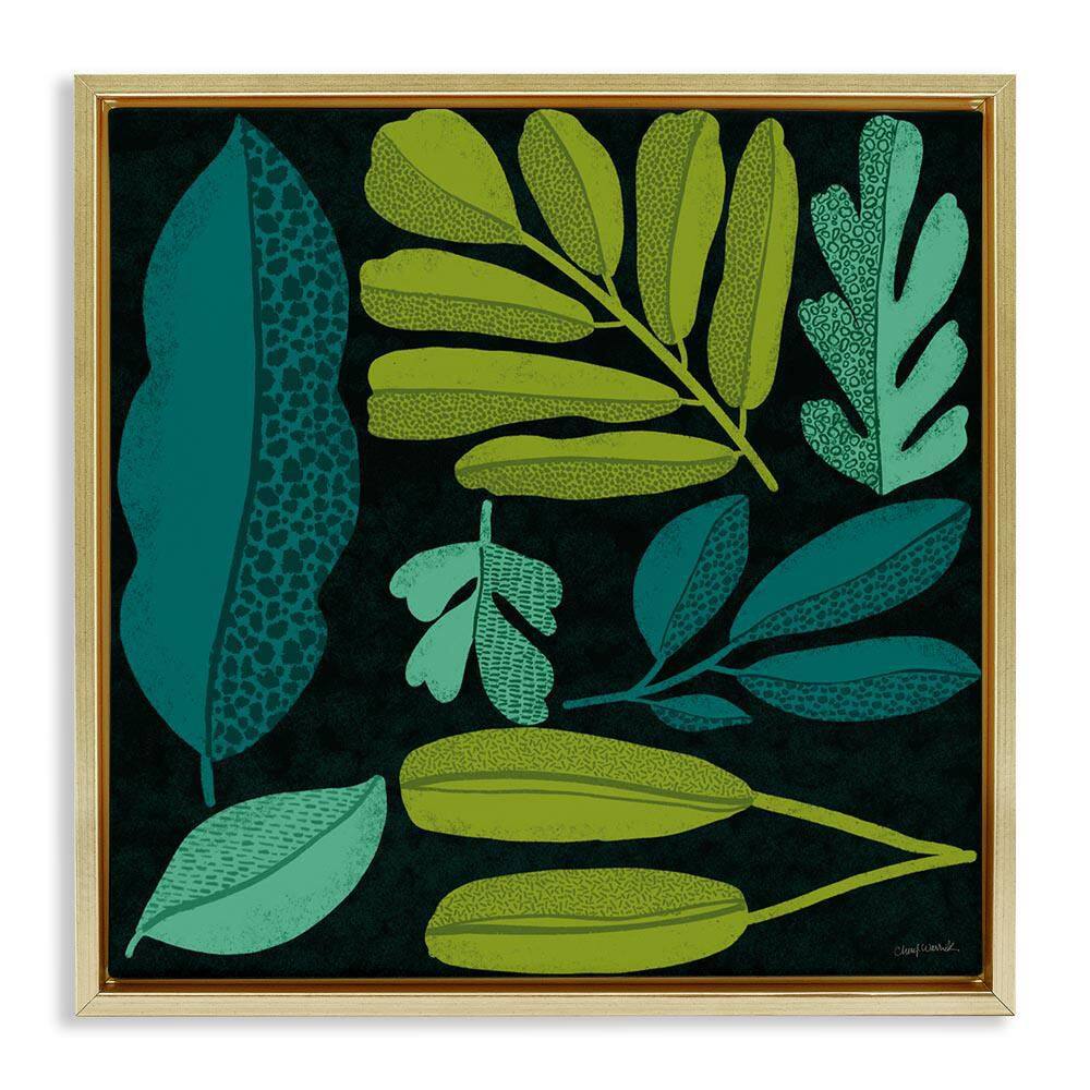 Plant Toss Collage by Cheryl Warrick Gold Floater Frame Nature Graphic Art Print 25 in. x 25 in. price history on PriceWatchPro