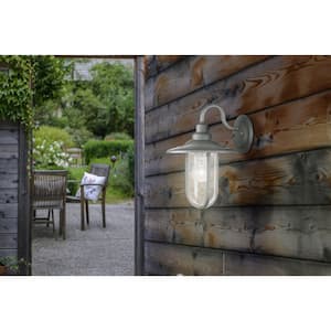 Signal Park 1-Light Outdoor Galvanized Wall Mount Sconce