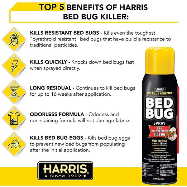 steamer for bed bugs home depot
