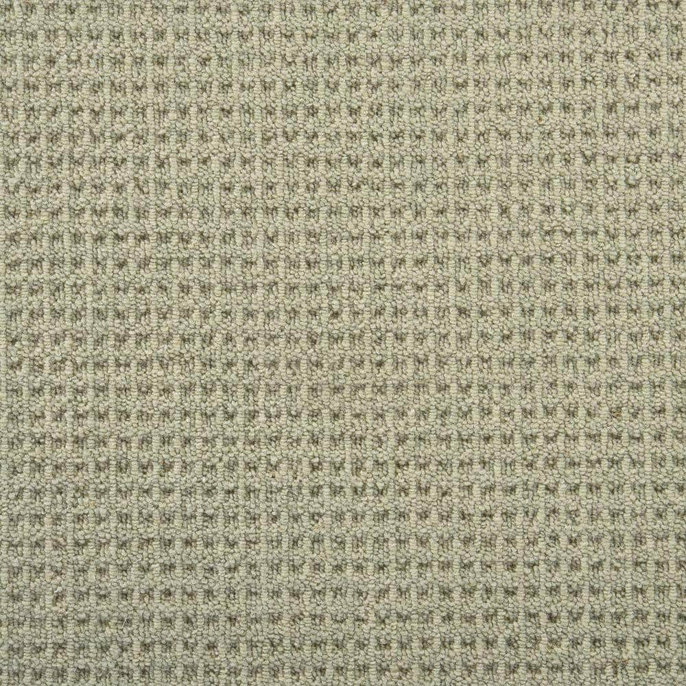 6 in. x 6 in. Multi-Level Loop Carpet Sample - Shenadoah - Color Meadow price history on PriceWatchPro
