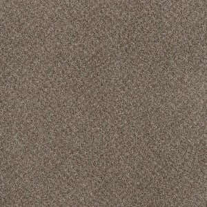 Dream Wish - Intent - Gray 32 oz. SD Polyester Texture Installed Carpet