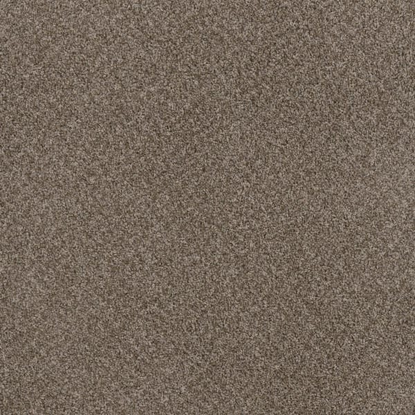 TrafficMaster Dream Wish - Intent - Gray 32 oz. SD Polyester Texture Installed Carpet
