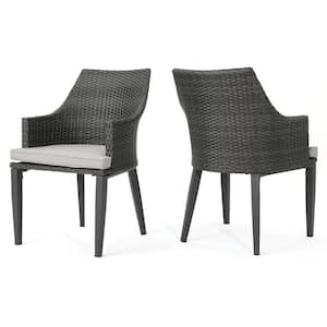 Ansley Grey Stationary Plastic Outdoor Dining Chair with Light Grey Cushions (2-Pack)