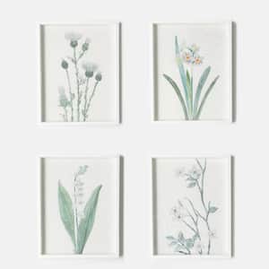 14.5" x 18.5" Botanicals on Handmade Paper Decorative Sign (Set of 4)