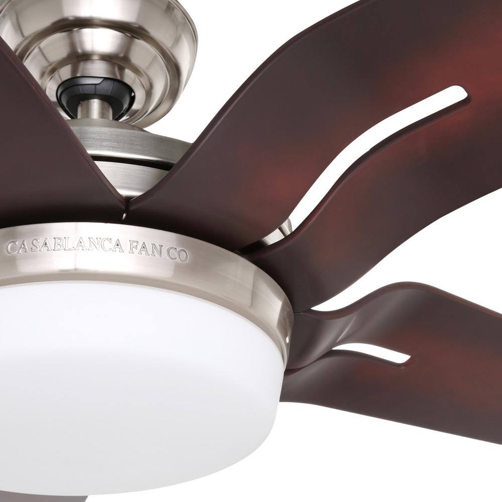 Correne 56" Brushed Nickel Ceiling Fan with Coffee Beech Blades and LED Light