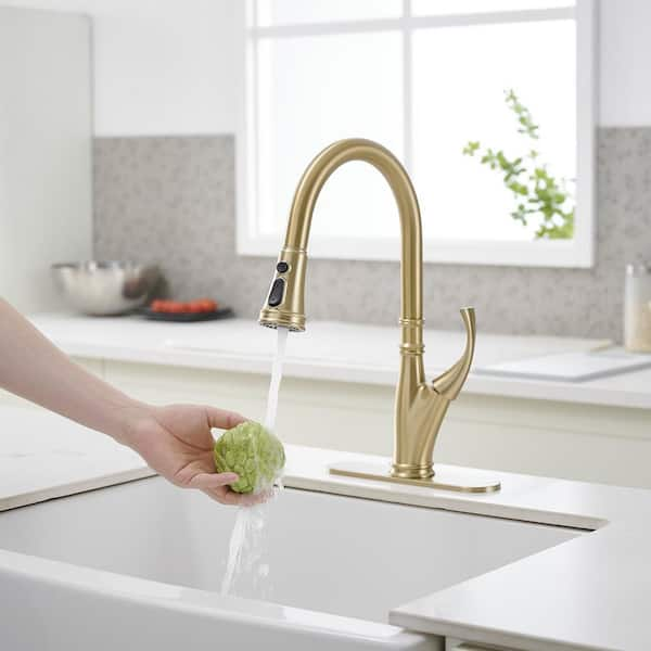 Single-Handle Pull-Down Pull-Out Sprayer 3 Spray High Arc Kitchen Faucet With Deck Plate in Brushed Gold