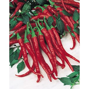 4 In. Cayenne Long Thin Hot Pepper Vegetable Plant (6-Pack)