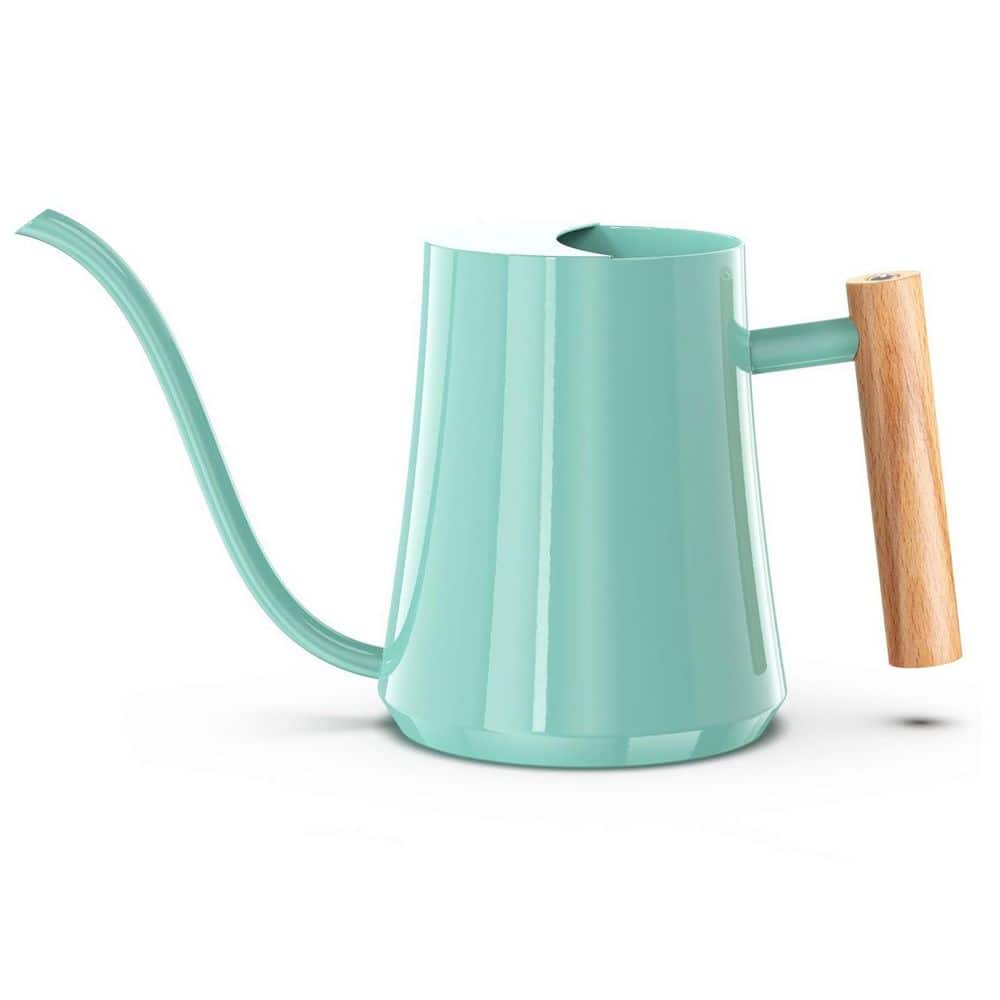 0.27 gal. Mint Green Watering Can, Small Matal Watering Pot for House Bonsai Plants Garden Flower Indoor Outdoor price history on PriceWatchPro