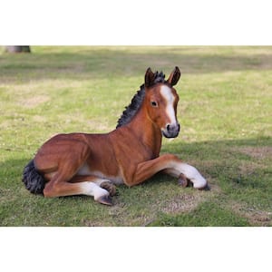 Large Horse Colt Laying Down