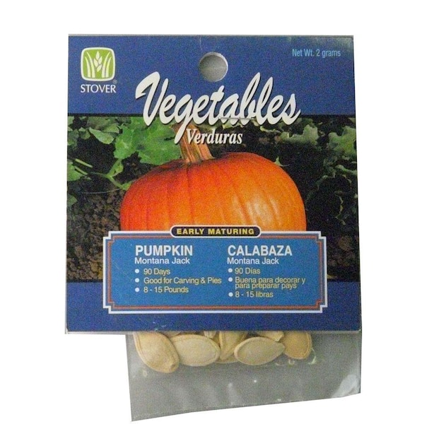 Pumpkin Montana Jack Seed